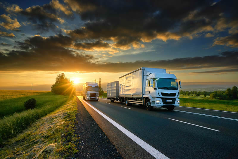 Trasporti.com
